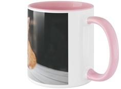 productImage-2
