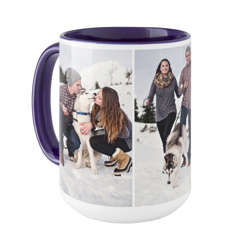 Pets Gallery of Three