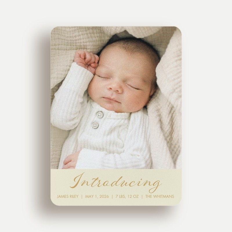 Softly Introducing