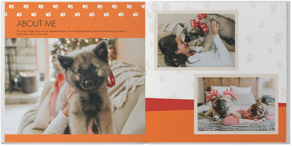 Pet Lover 10x10 undefined  Photo Book