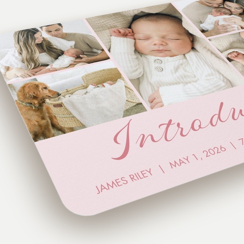 Softly Introducing Birth Announcement
