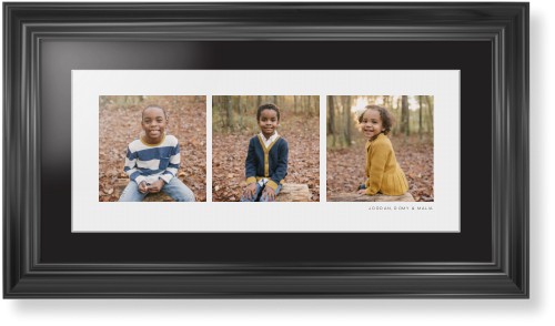 Panoramic Gallery of Three