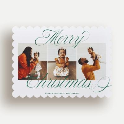 Evergreen Tidings