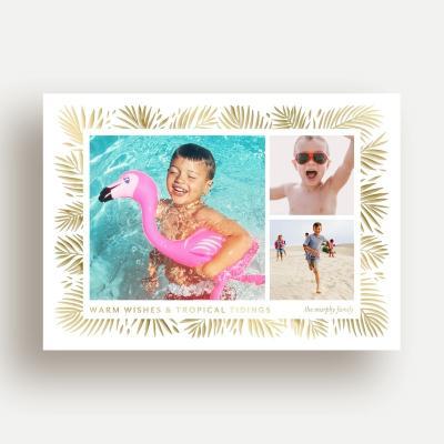 Tropical Tidings