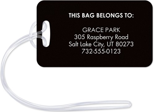 Text Gallery of Three 2x4 Multicolor  Luggage Tag