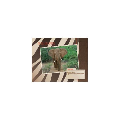 Passport to Africa 11x14 undefined  Premium Album