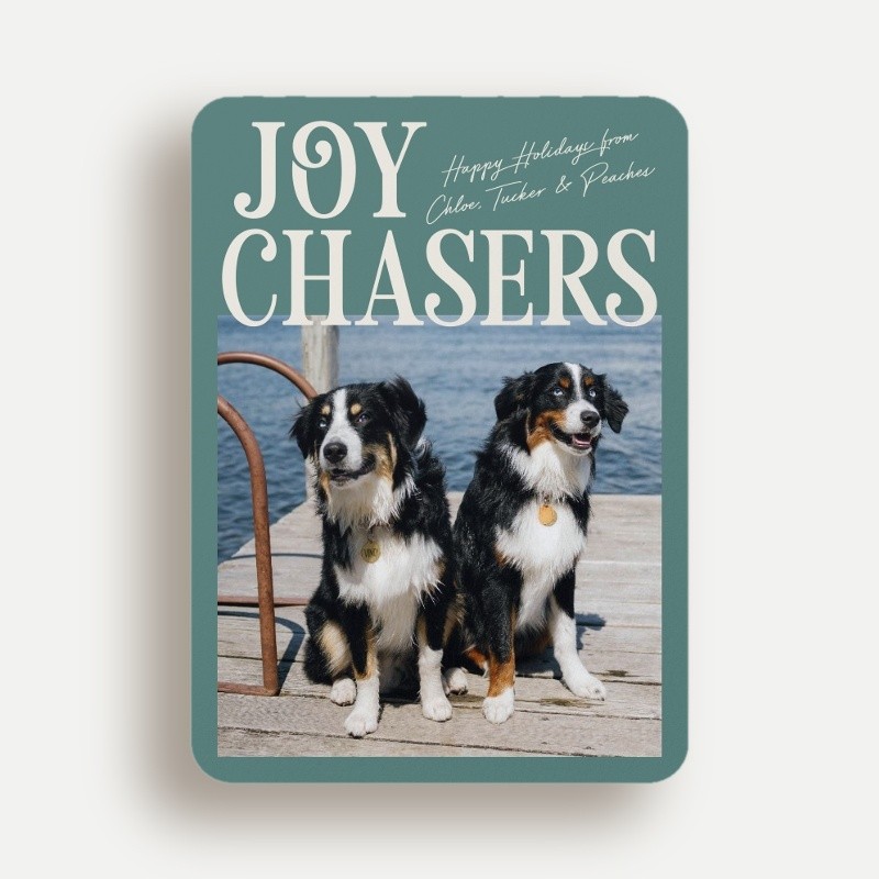 Joy Chasers Holiday Card