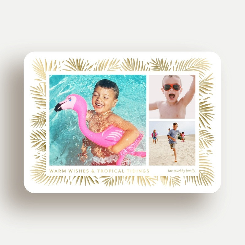 Tropical Tidings