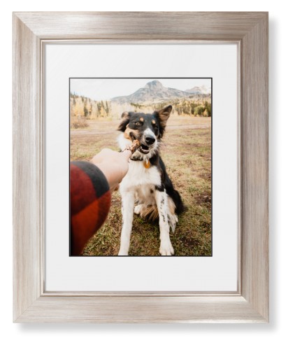 Pet Photo Gallery