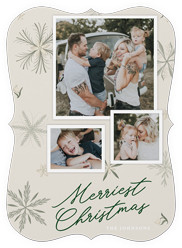 Botanical Snowflakes