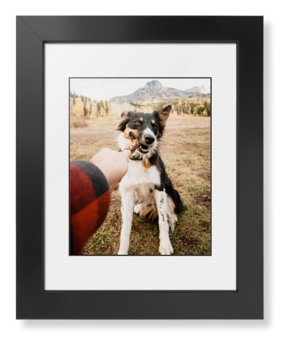 Pet Photo Gallery