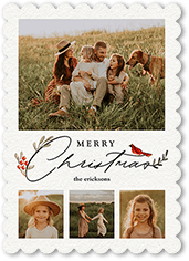 Bird and Holly Berry