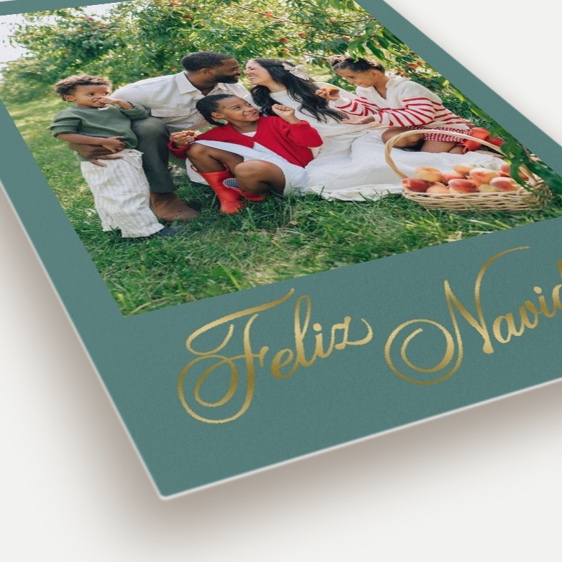 Elegant Gallery Holiday Card