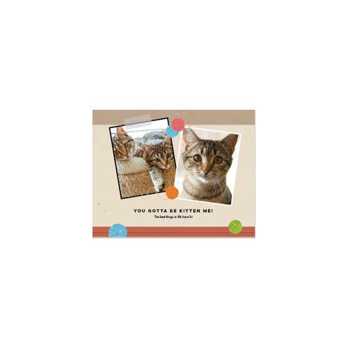 Four Legged Friends 8x11 undefined  Wall Calendar