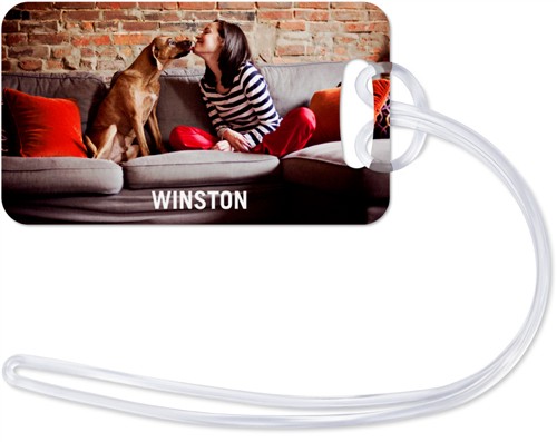 Pets Photo Gallery Horizontal 2x3 Multicolor  Luggage Tag