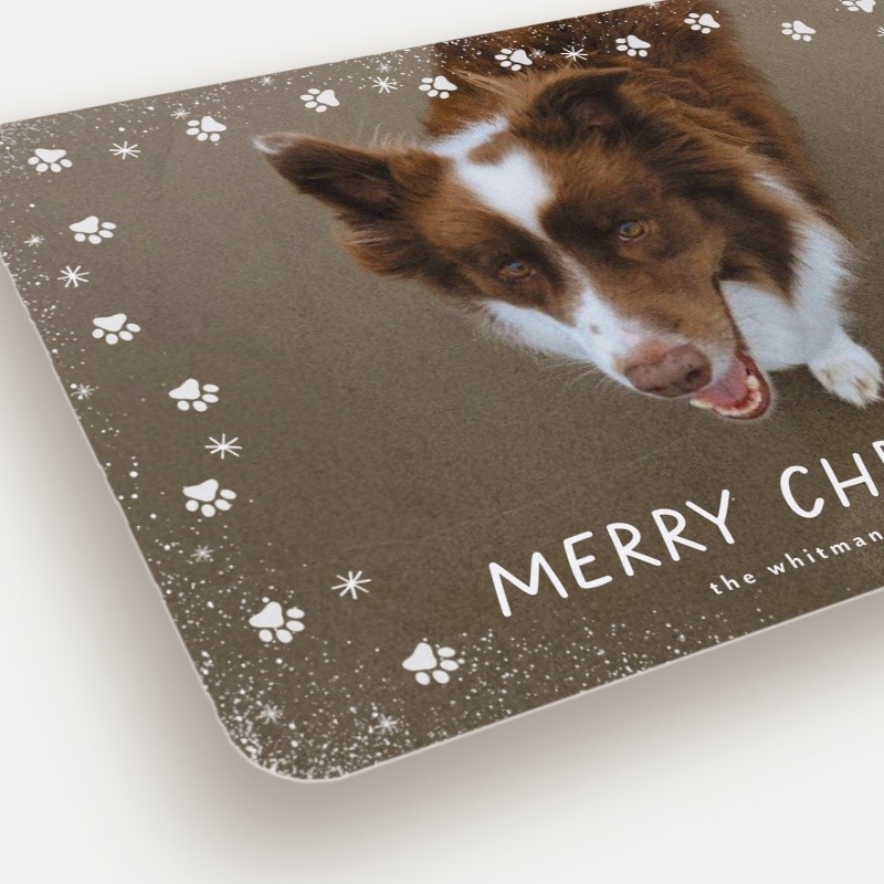 Paw Prints Holiday Card