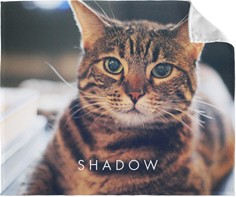 Pets Photo Gallery Horizontal