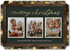 Rustic Evergreen Lights