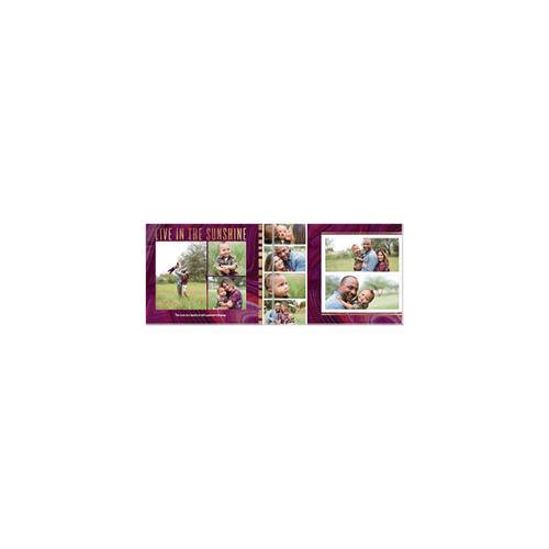 Gilded Marble 8x11 undefined  Premium Album