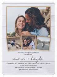 Calligraphy Collection