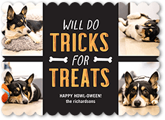 Tricks for Treats