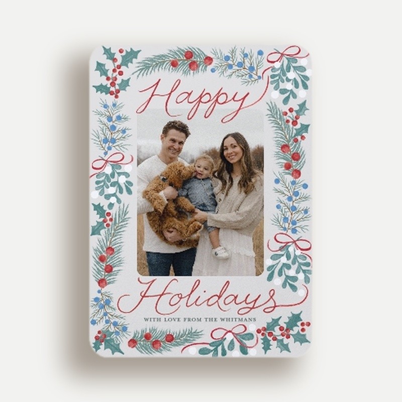 Holly Border