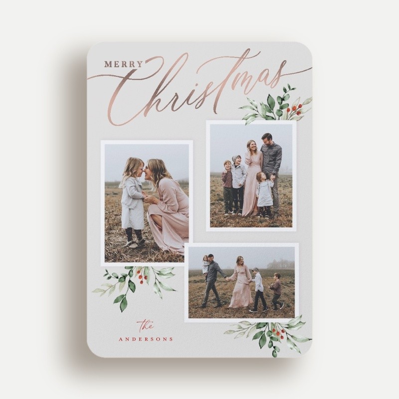 Script and Snapshots