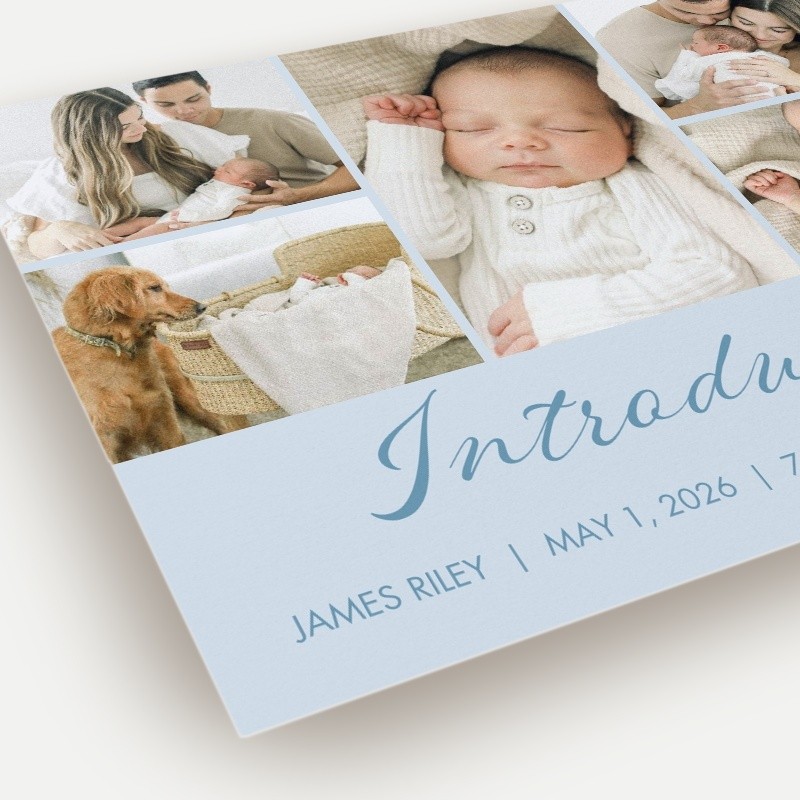 Softly Introducing Birth Announcement Softly Introducing 6x8 Blue Birth Announcement