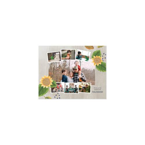 Painted Seasons 8x11 undefined  Photo Book