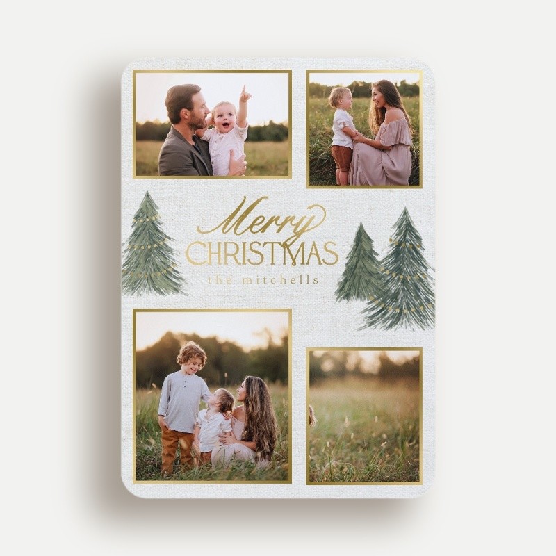 Elegant Pines Holiday Card