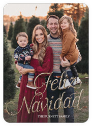 Luxe Holiday Greetings