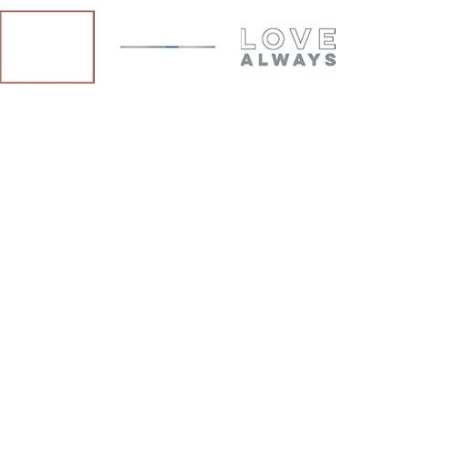 Elegant Wedding 11x14 undefined  Premium Album