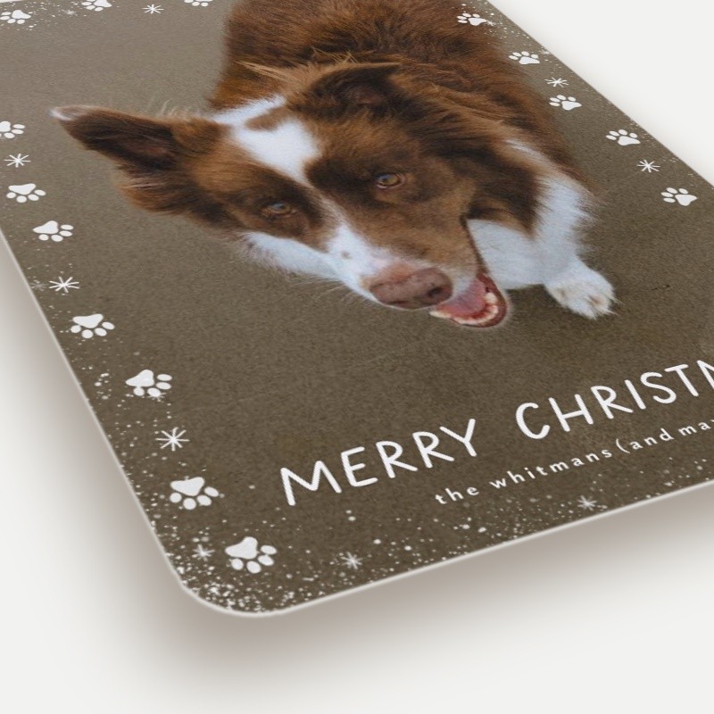 Paw Prints Holiday Card