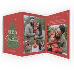 Golden Pine Greetings