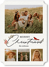 Bird and Holly Berry