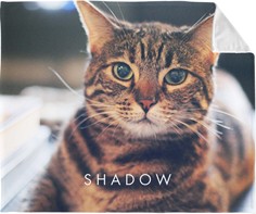 Pets Photo Gallery Horizontal