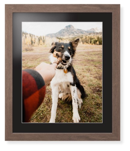 Pet Photo Gallery