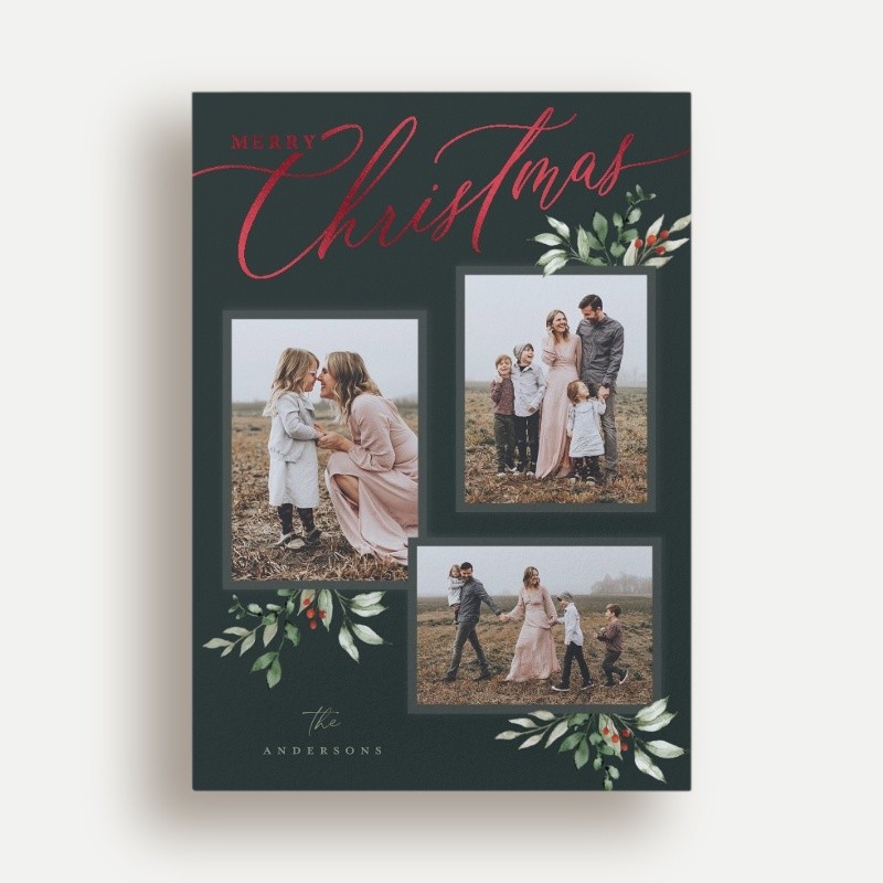 Script and Snapshots