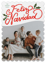 Vibrant Holly Greetings