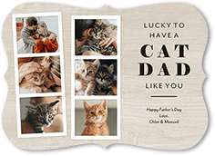 Cat Dad