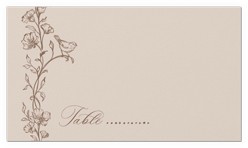 Gentle Ornamented Framework
