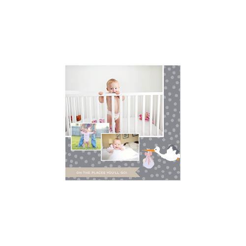 Tiny Little You 12x12 undefined  Premium Album