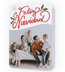 Vibrant Holly Greetings