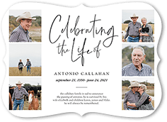 Celebrating the Life