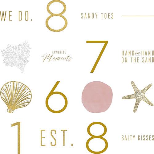 Beach Wedding 8x8 undefined  Premium Album