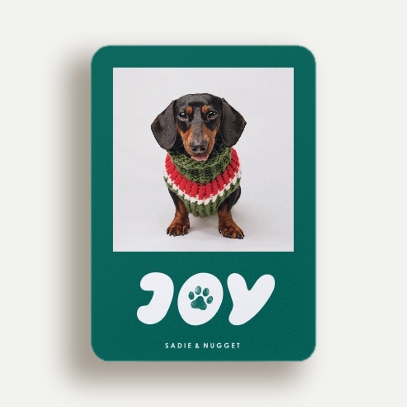 Paw Print Joy
