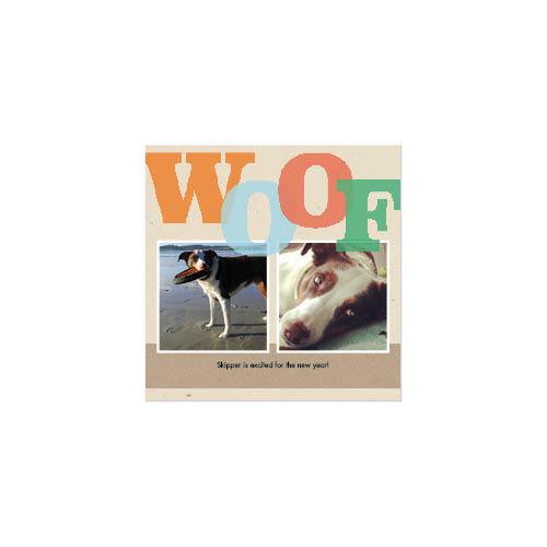 Four Legged Friends 12x12 undefined  Wall Calendar