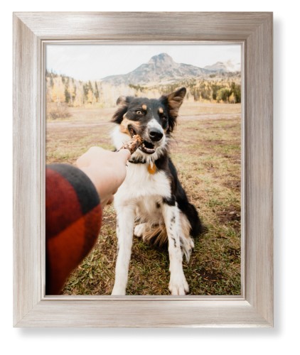Pet Photo Gallery