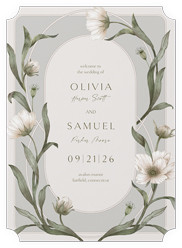 Enveloping Perennial