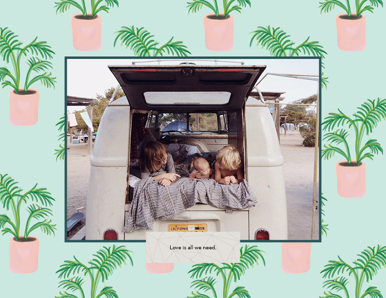 Watercolor Botanicals 8x11 undefined  Wall Calendar